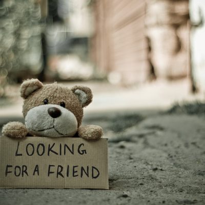 looking for a friend bear