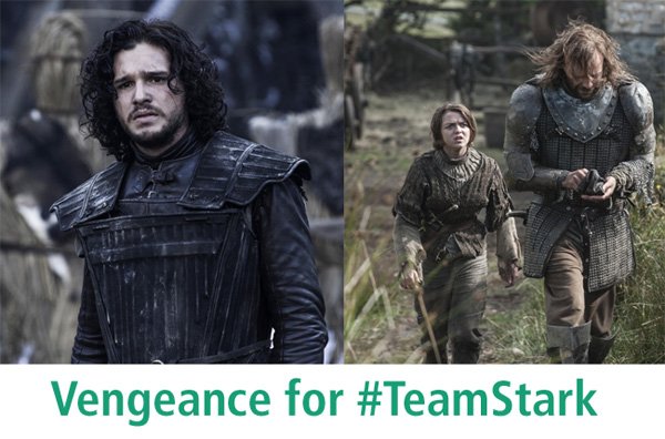 vengence-for-team-stark